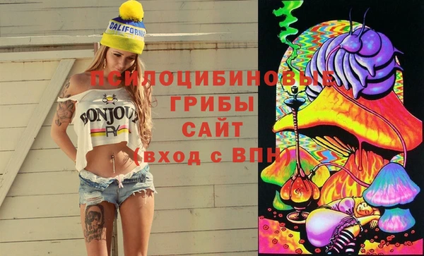 ECSTASY Горнозаводск