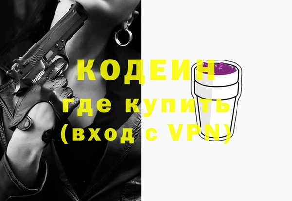 гашик Горняк