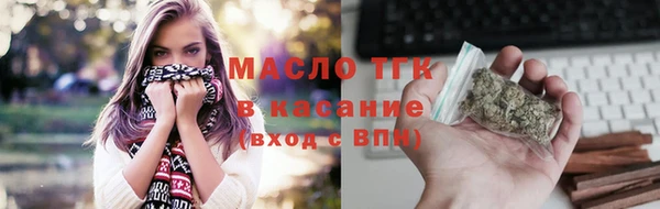 гашик Горняк