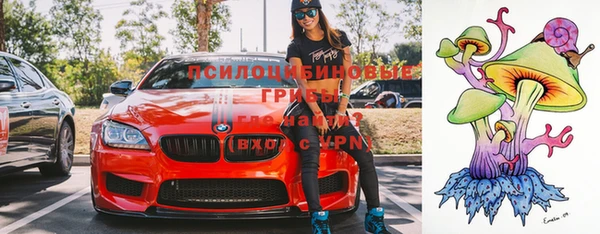 гашик Горняк