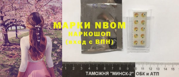 гашик Горняк