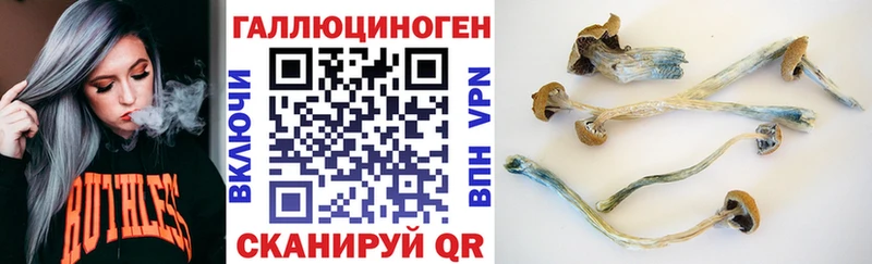 Галлюциногенные грибы Psilocybe  Иваново 
